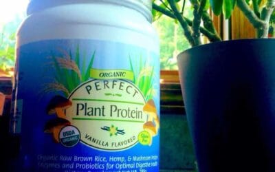 Perfect Supplements Plant Based Protein Review