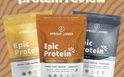 Sprout Living Protein Review