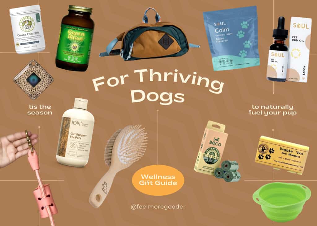 healthy dog gifts